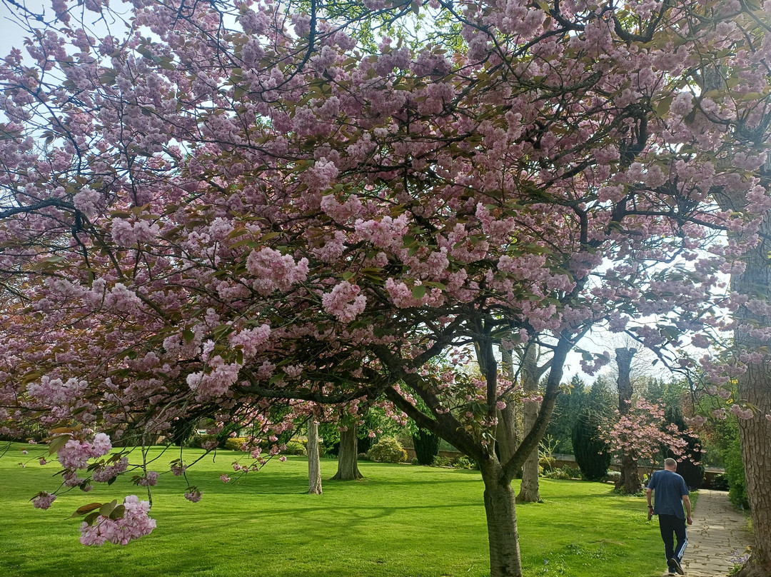霍伍德之家酒店主图