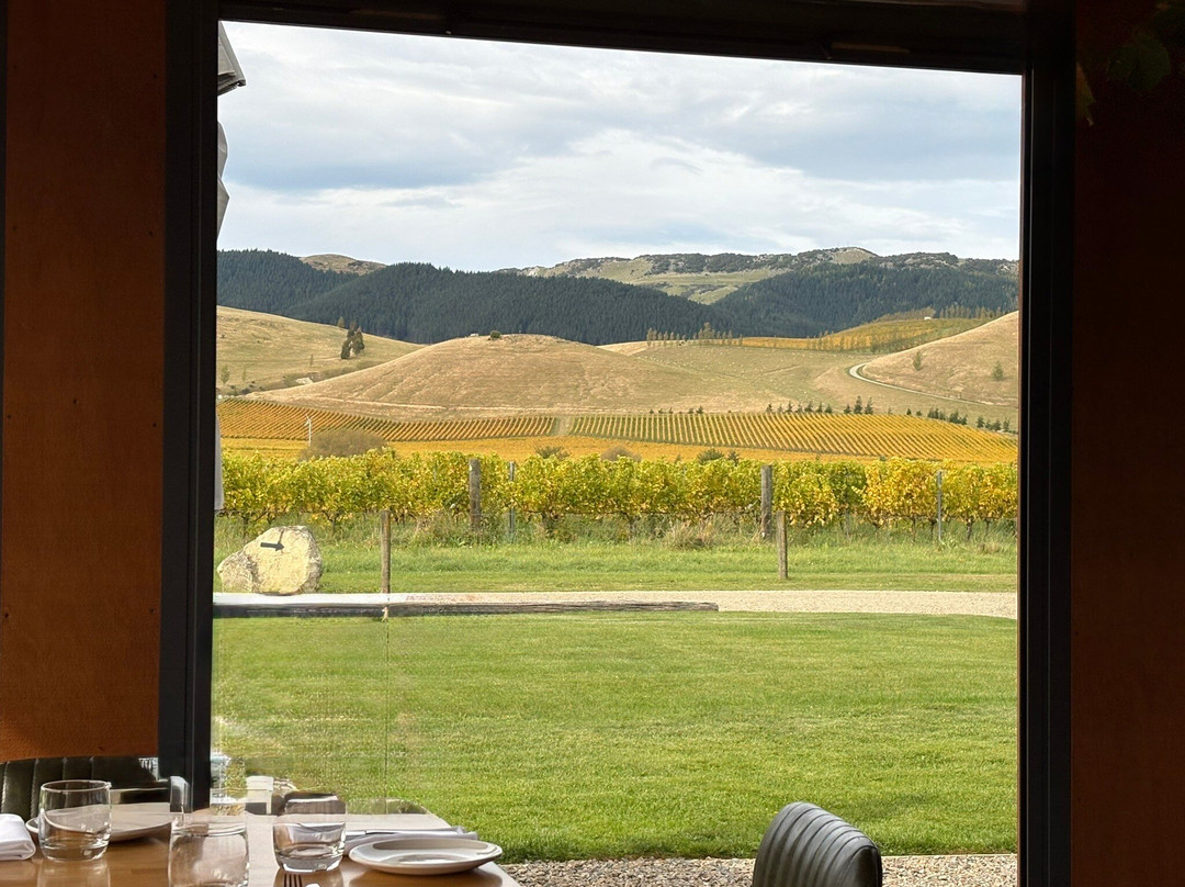 Greystone Wines-Waipara必去景点