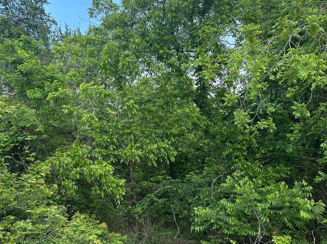 Lakeline Park-斯德伯克必去景点