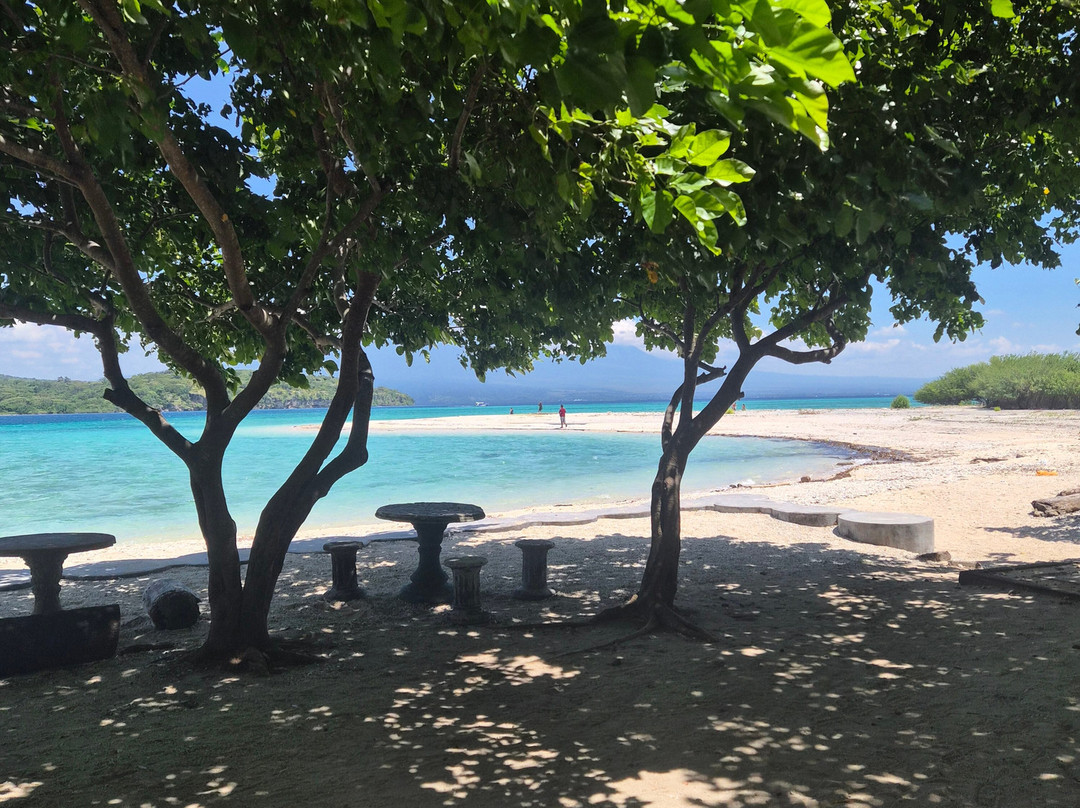Menjangan Tour Snorkeling & Diving-Pejarakan必去景点