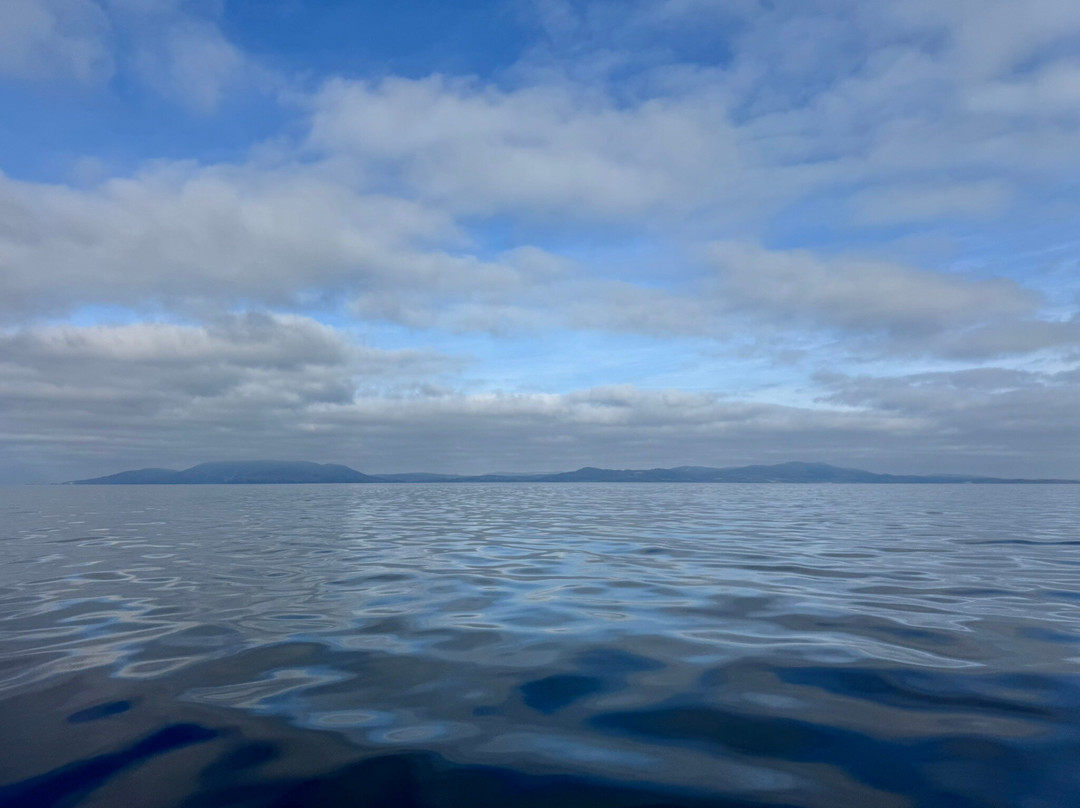 Killybegs Angling Charters-Killybegs必去景点