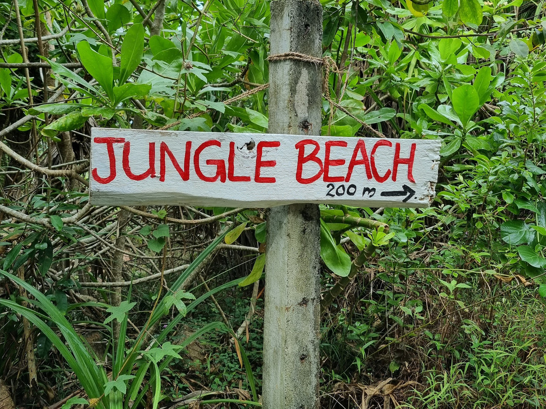 丛林海滩-乌纳瓦图纳必去景点