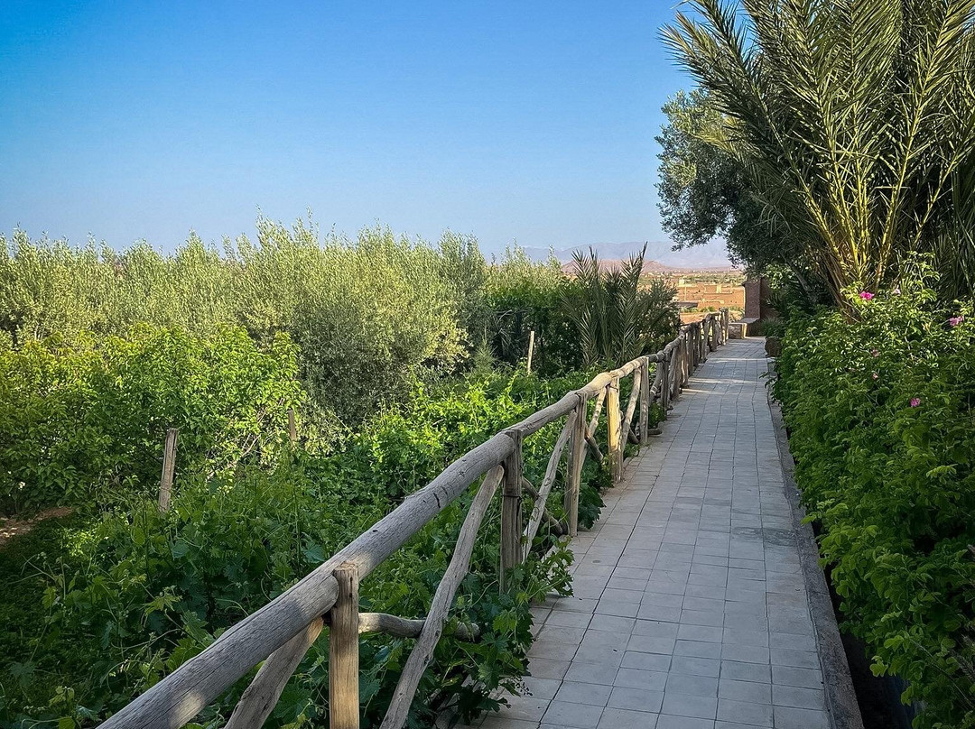 Dades Aventures - Day Tours-瓦尔扎扎特必去景点