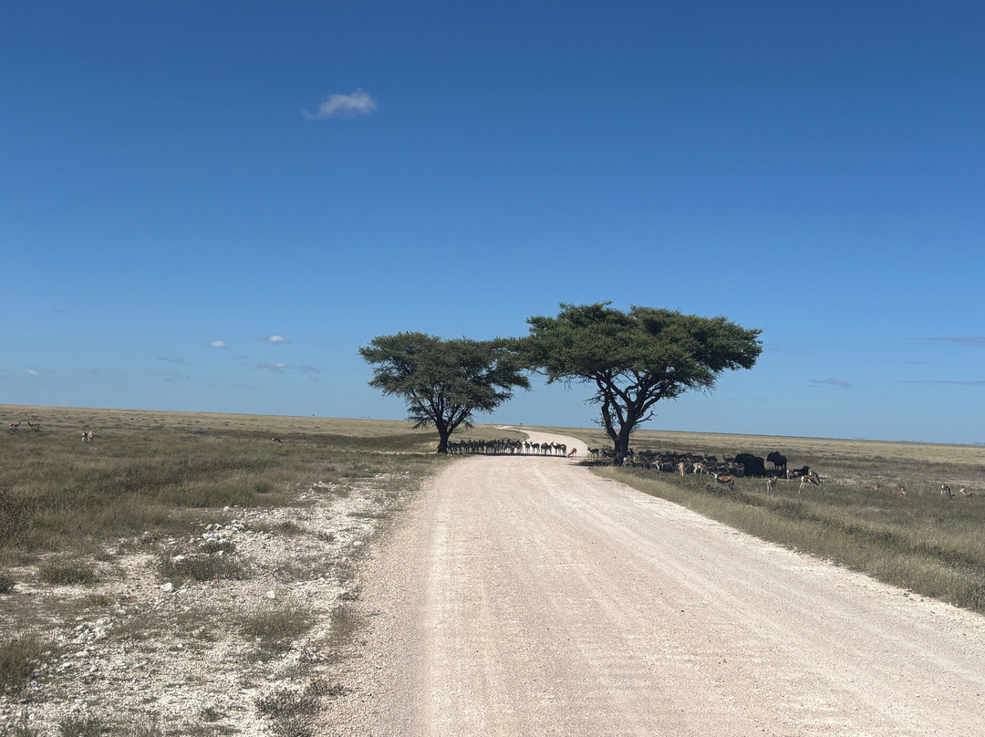 African Overland Tours-开普敦中心区必去景点