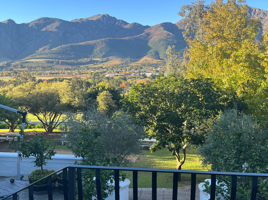 Franschhoek Wine Tram-法兰舒克必去景点