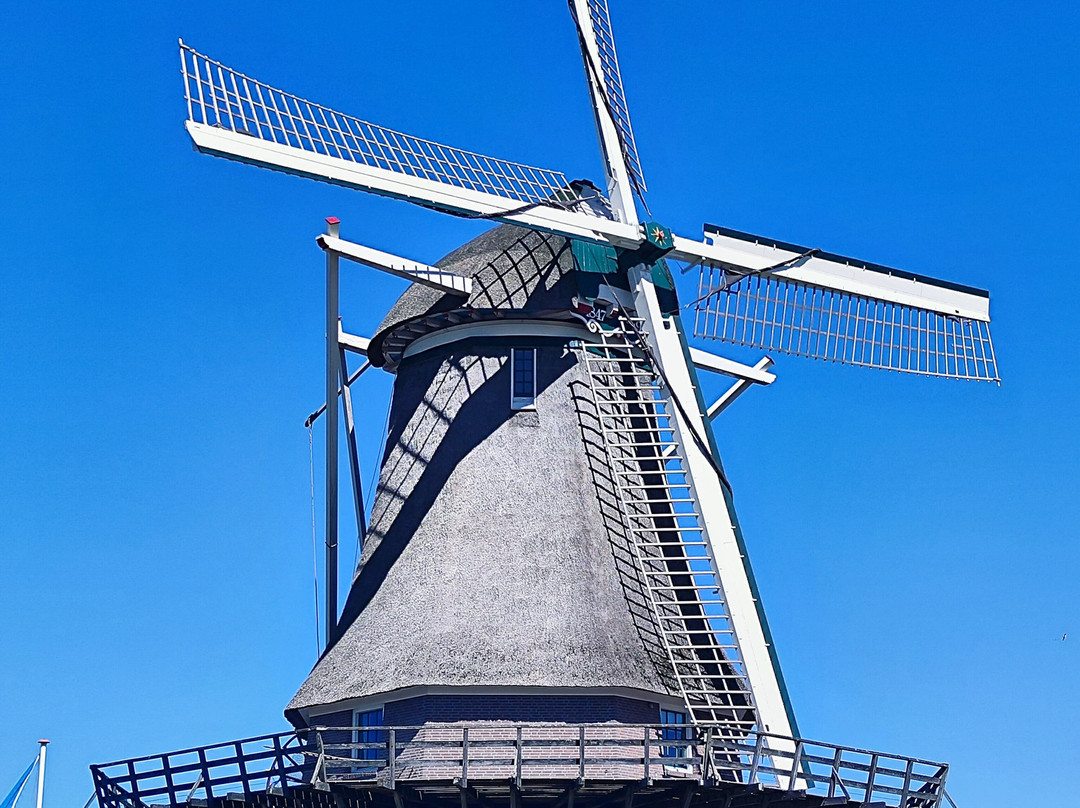 Molen Van Sloten-阿姆斯特丹必去景点