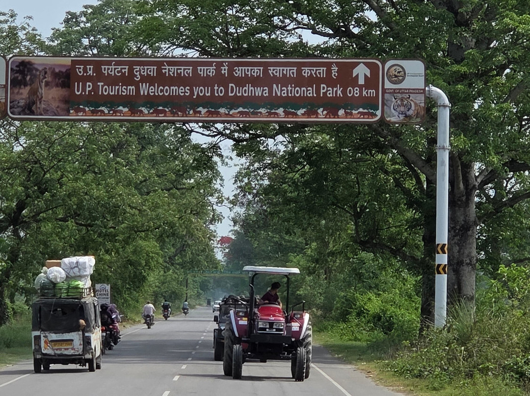Dudhwa National Park-Dudhwa National Park必去景点