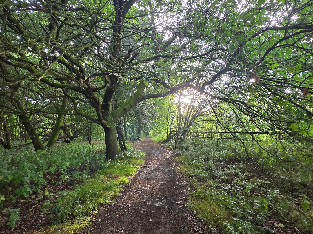 Little Marlow Lakes Country Park-Little Marlow必去景点