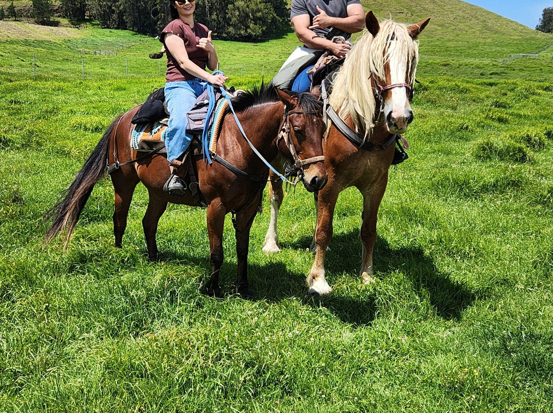 Na'alapa Stables - Kahua Ranch-卡慕也拉必去景点