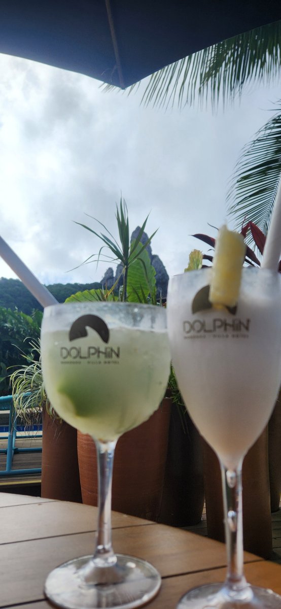 海豚酒店-旅行者