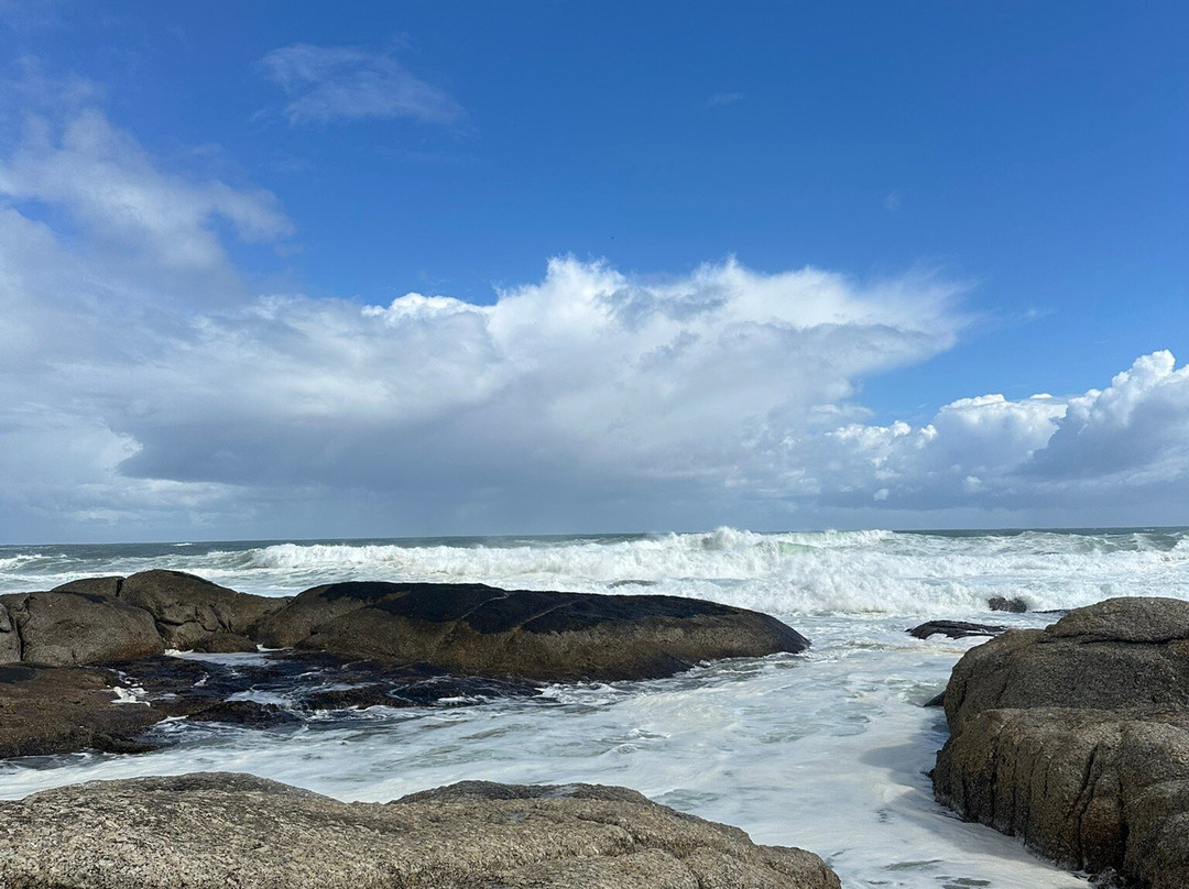 Sea Point Beach-Sea Point必去景点