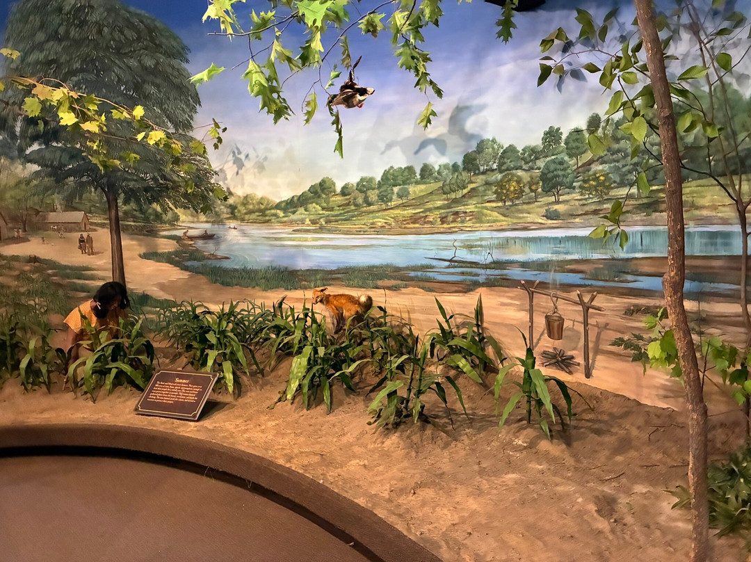 Black Hawk State Historic Site-罗克艾兰必去景点