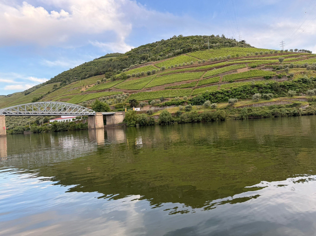Anima Durius Douro River Cruises-Pinhao必去景点
