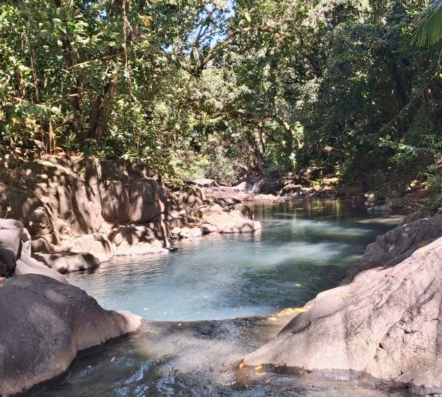Yalodé Kayak Canyon Bain De Forêt-瓜德罗普岛必去景点