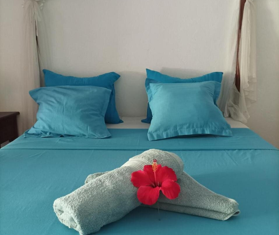 Soanierana - Ivongo酒店住宿-Villa Les Orchidees Chez Ago