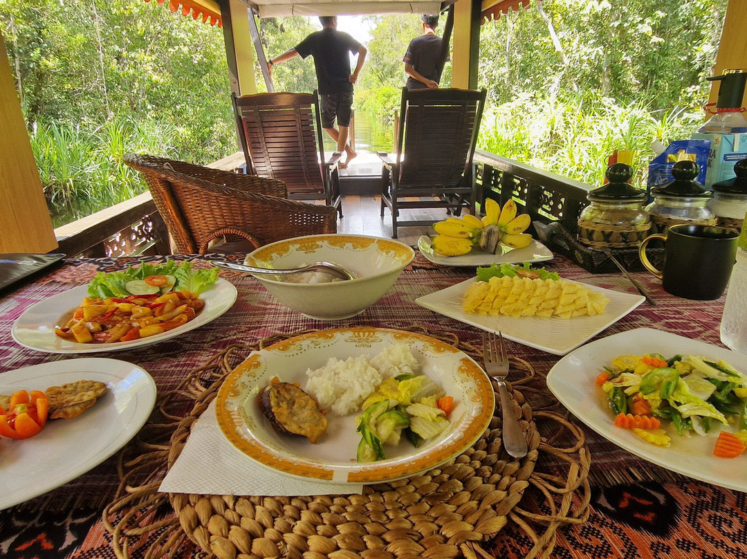 Orangutan Houseboat Tour-Kumai必去景点