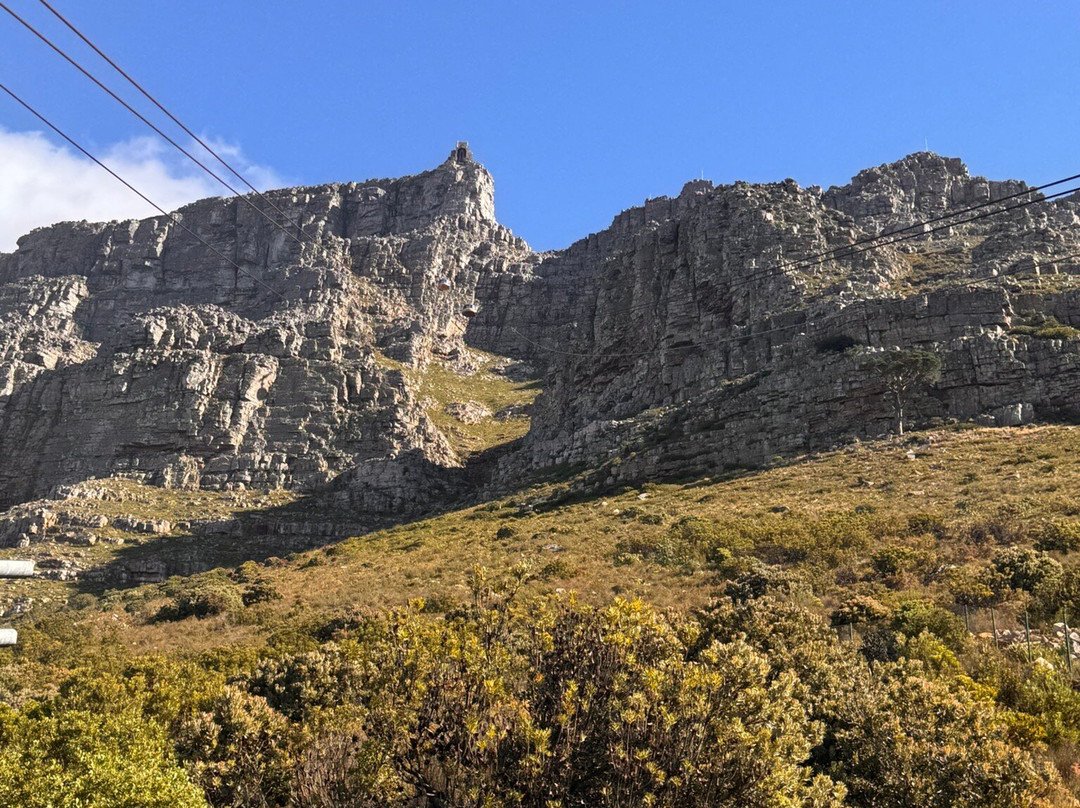 桌山空中索道-开普敦中心区必去景点