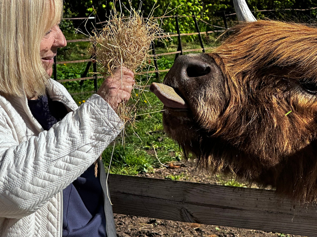 Invergordon Shore Excursions and Tours-Invergordon必去景点