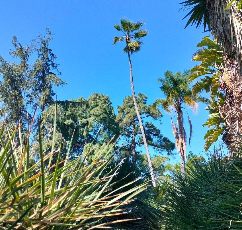Giardini Botanici Hanbury - Villa Hanbury-文蒂米利亚必去景点
