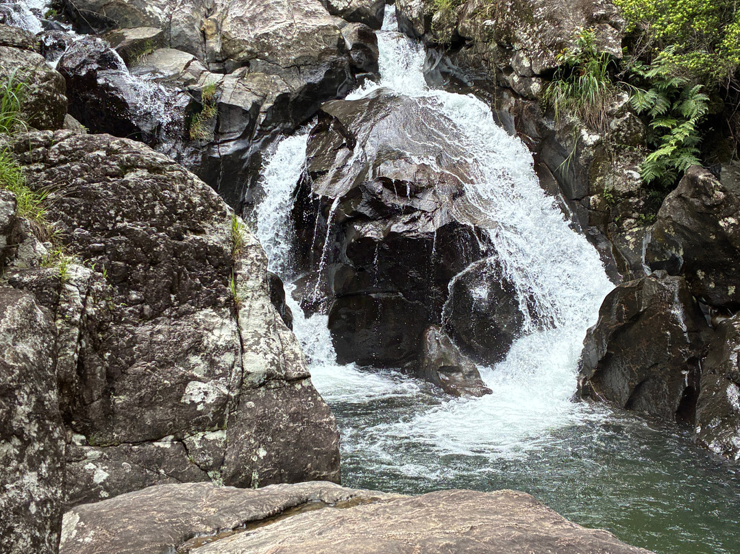 Sri Lanka Trekking-康提必去景点