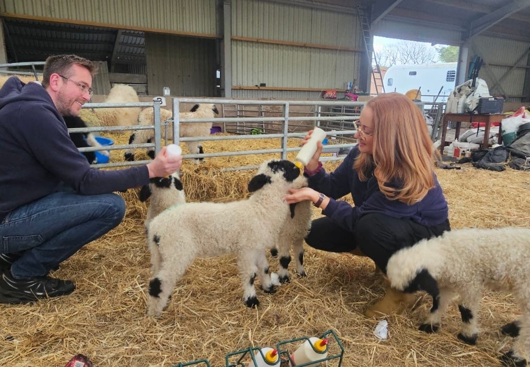 Meikle Westland Farm主图