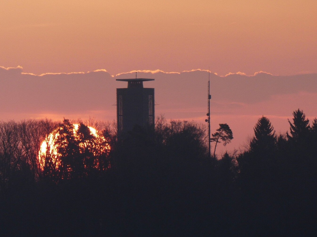 Napoleonturm Hohenrain-Waldi必去景点