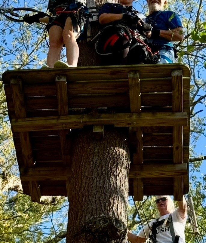 TreeTop Adventures Canton-Canton必去景点