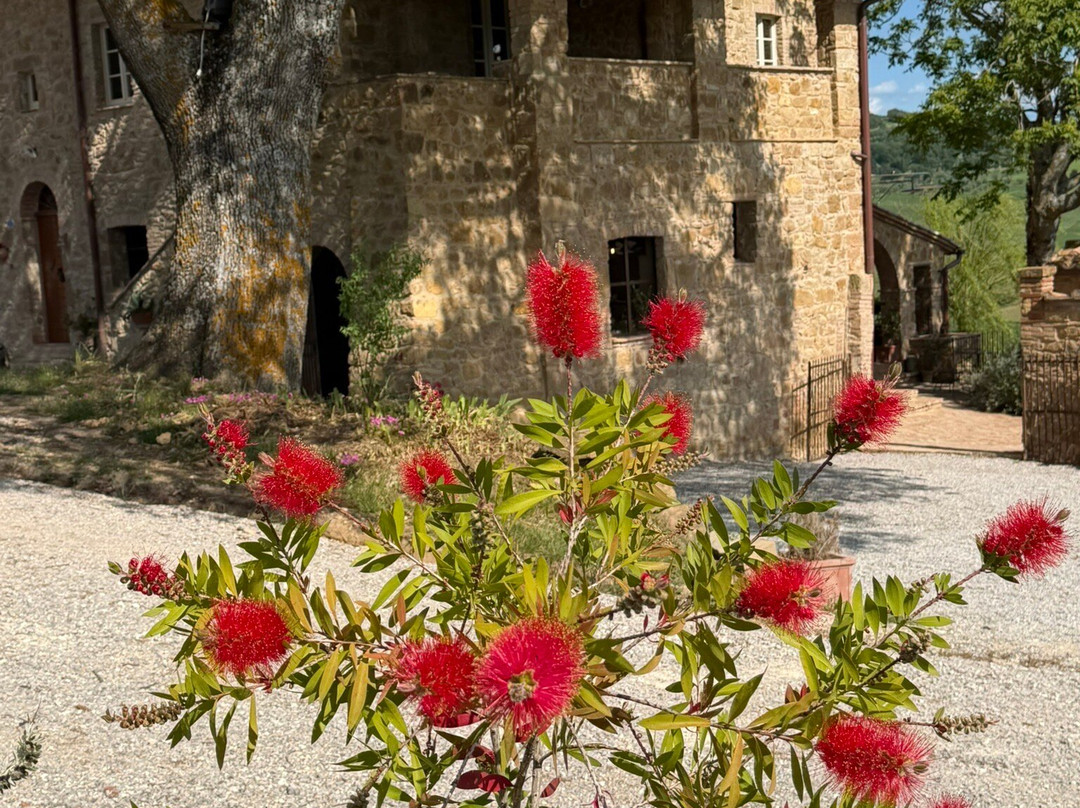 Azienda Agricola CasaGori-皮恩扎必去景点