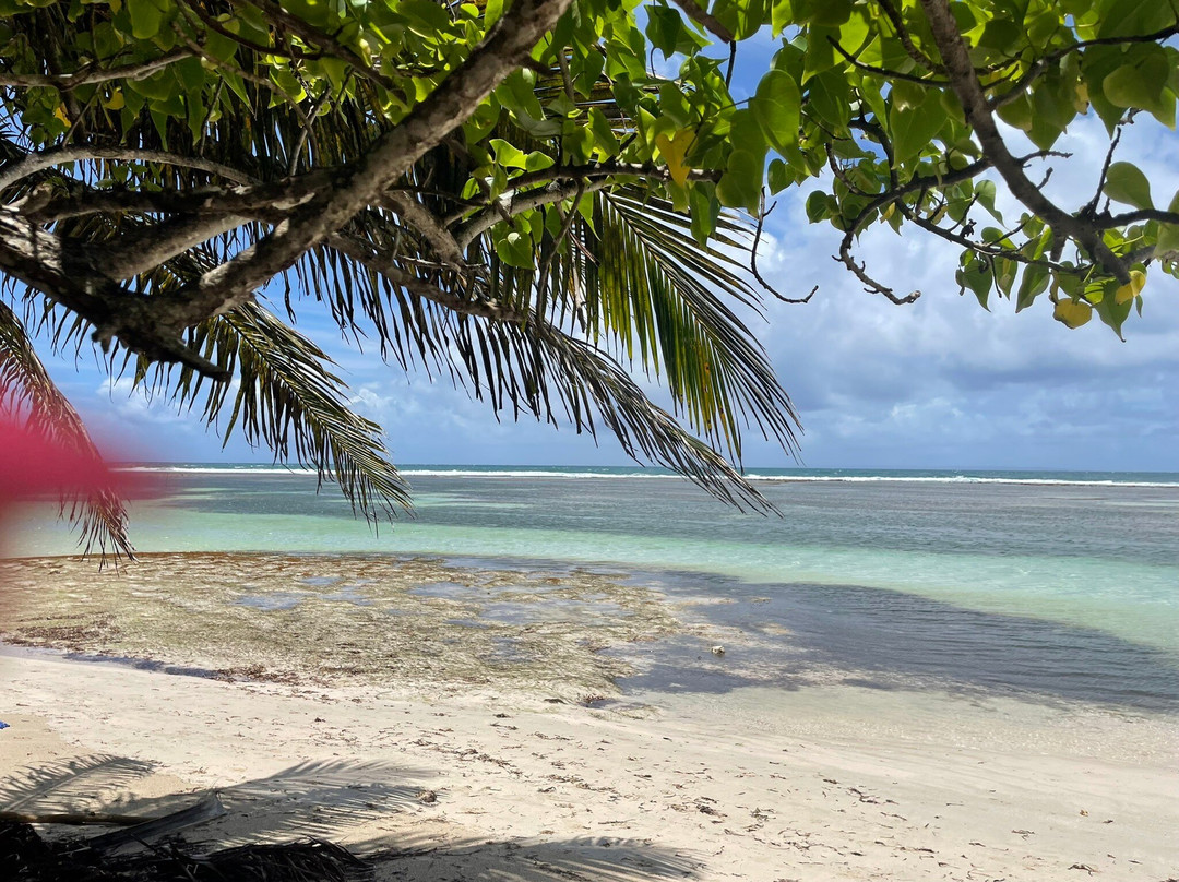 Plage de Bois Jolan-Sainte-Anne必去景点