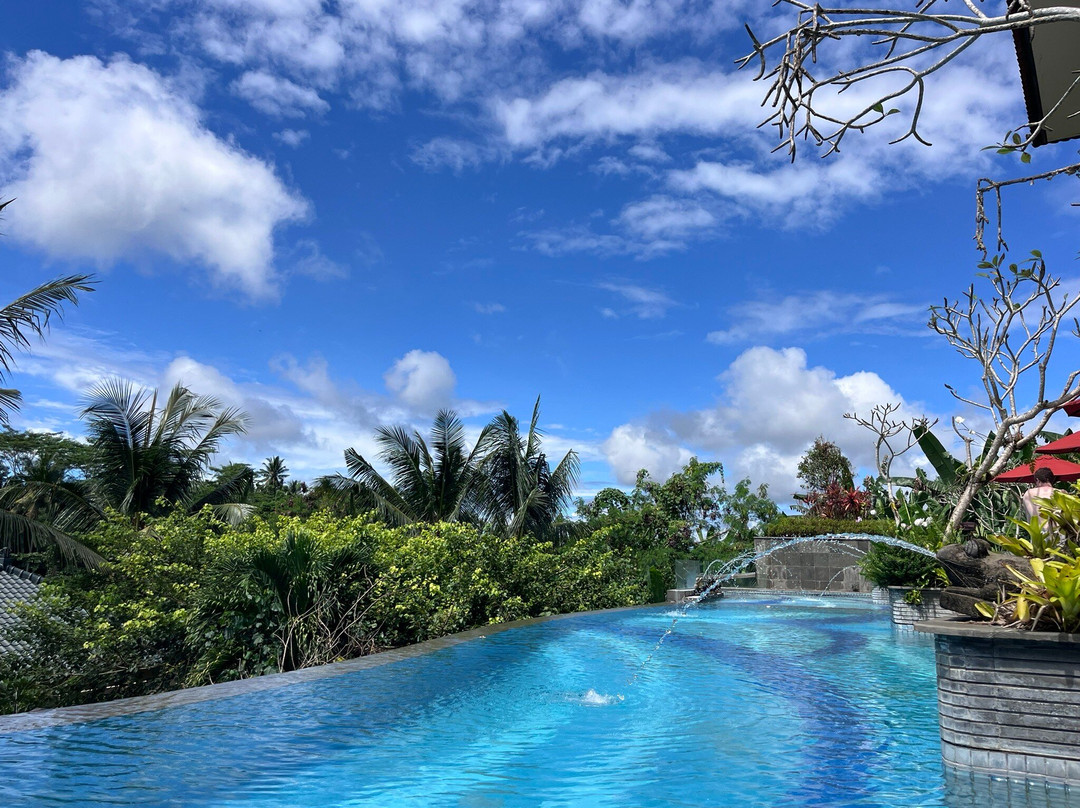 Seres Springs Resort & Spa, Singakerta主图