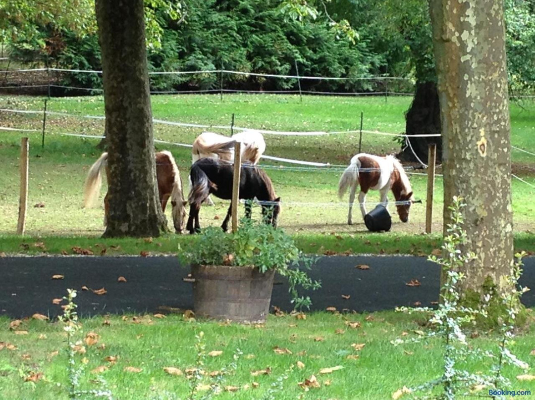 Le Parc du Vivier