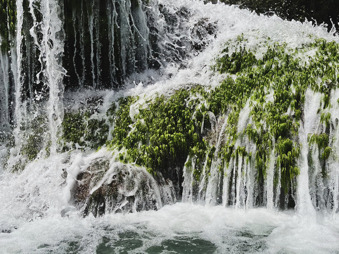 Cascada de Micos-Ciudad Valles必去景点