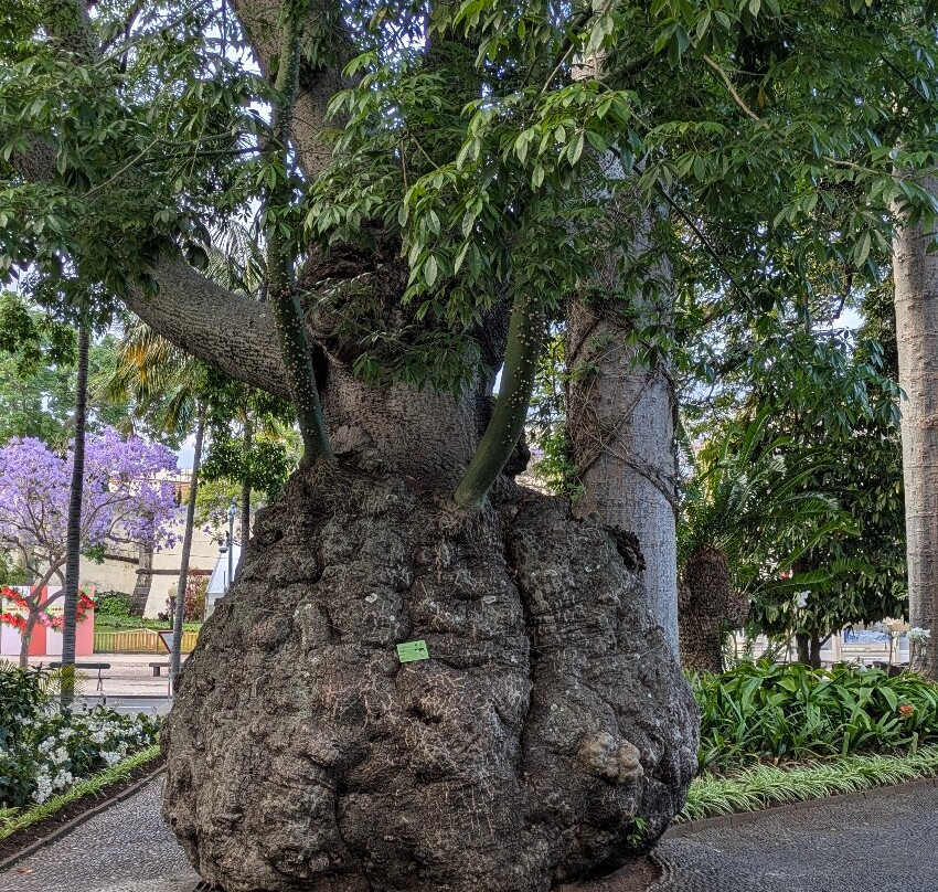 Jardim Municipal do Funchal-沙尔必去景点