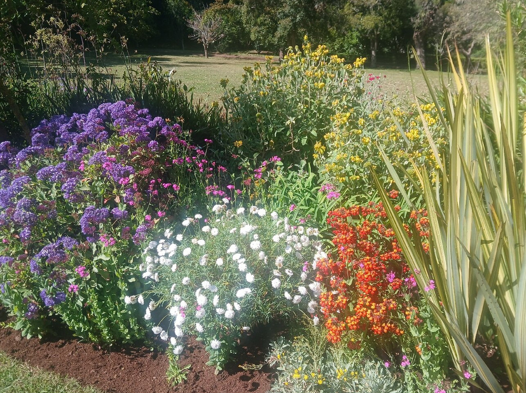 Palheiro Gardens-沙尔必去景点