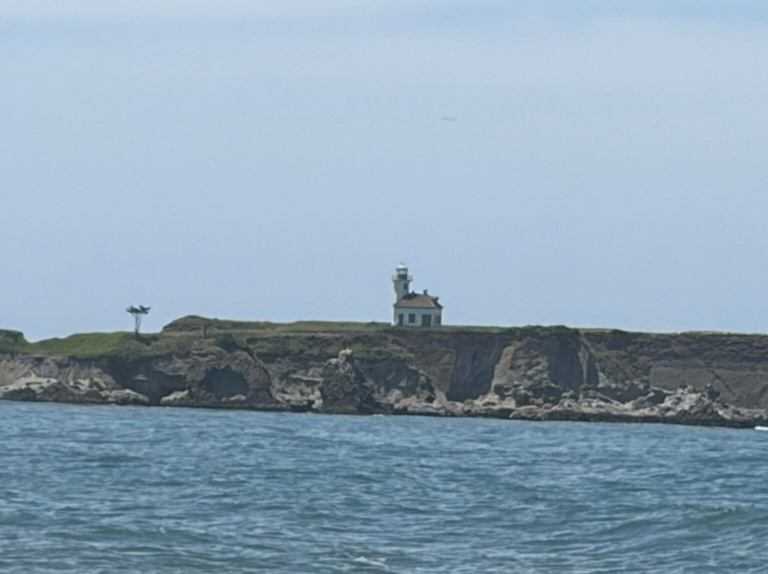 Cape Arago Lighthouse-Charleston必去景点