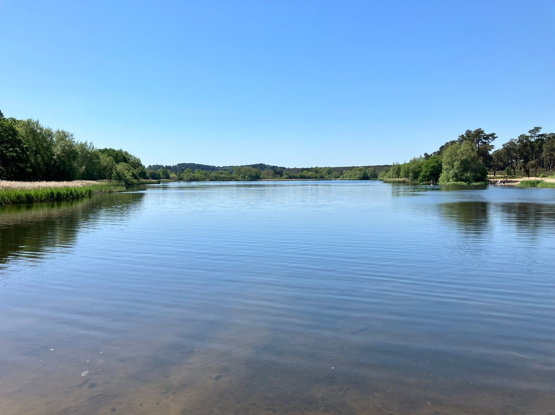 Frensham Little Pond-Frensham必去景点