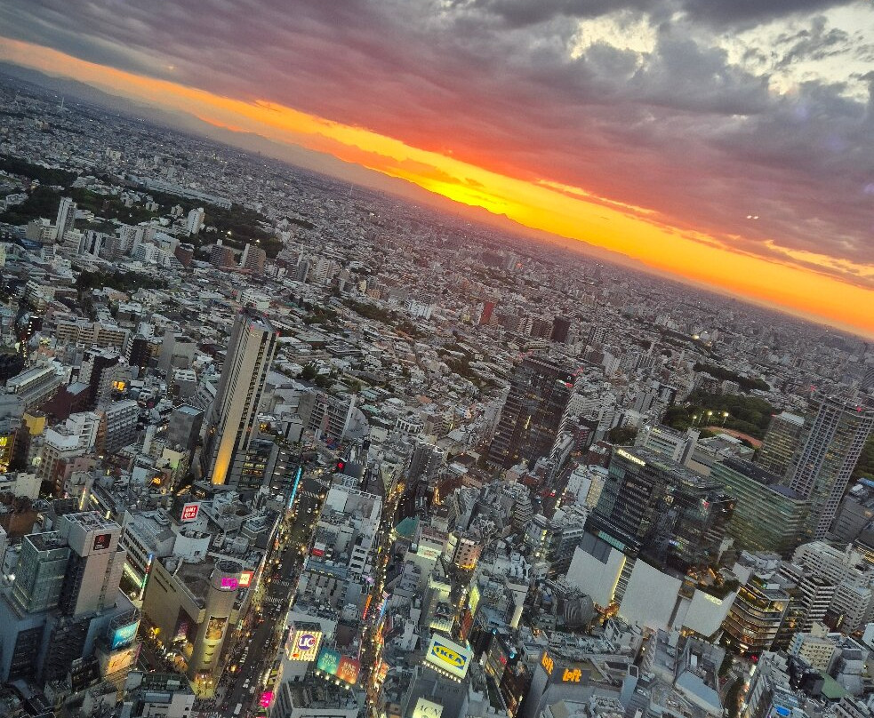 Shibuya Sky-涩谷区必去景点