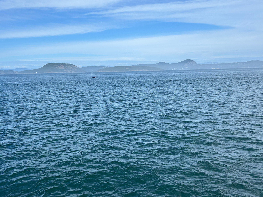 Outer Island Excursions-Anacortes必去景点