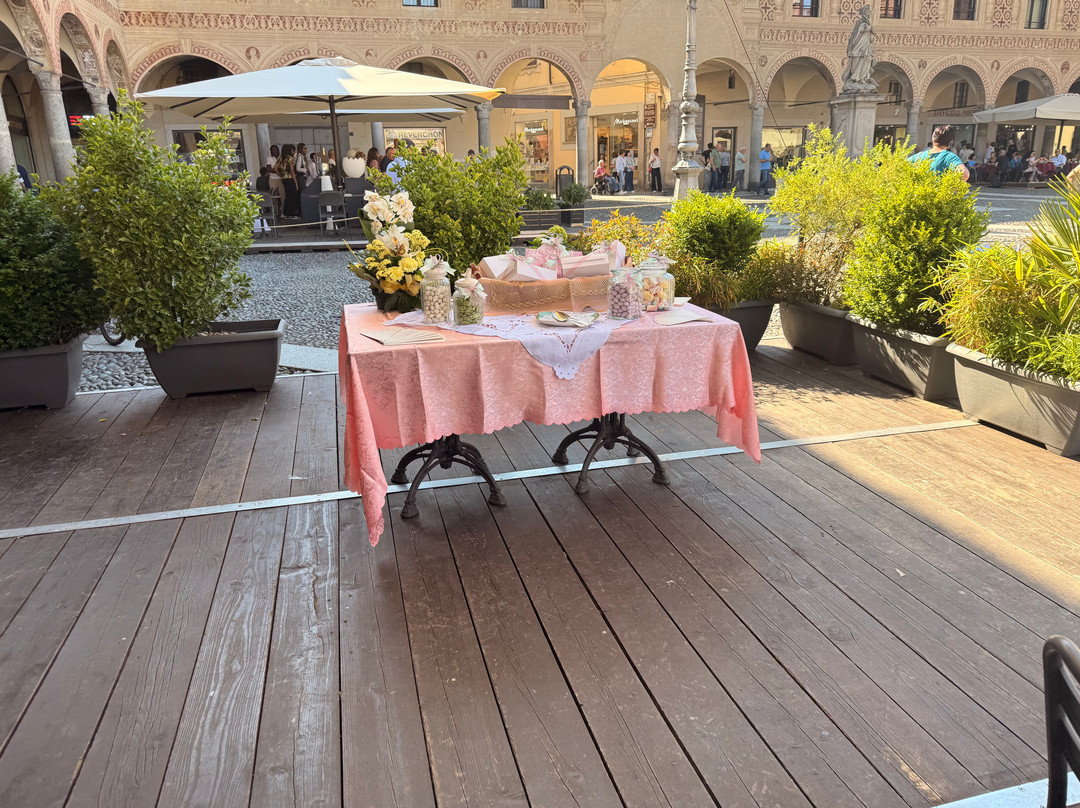 Verdesalvia Vigevano