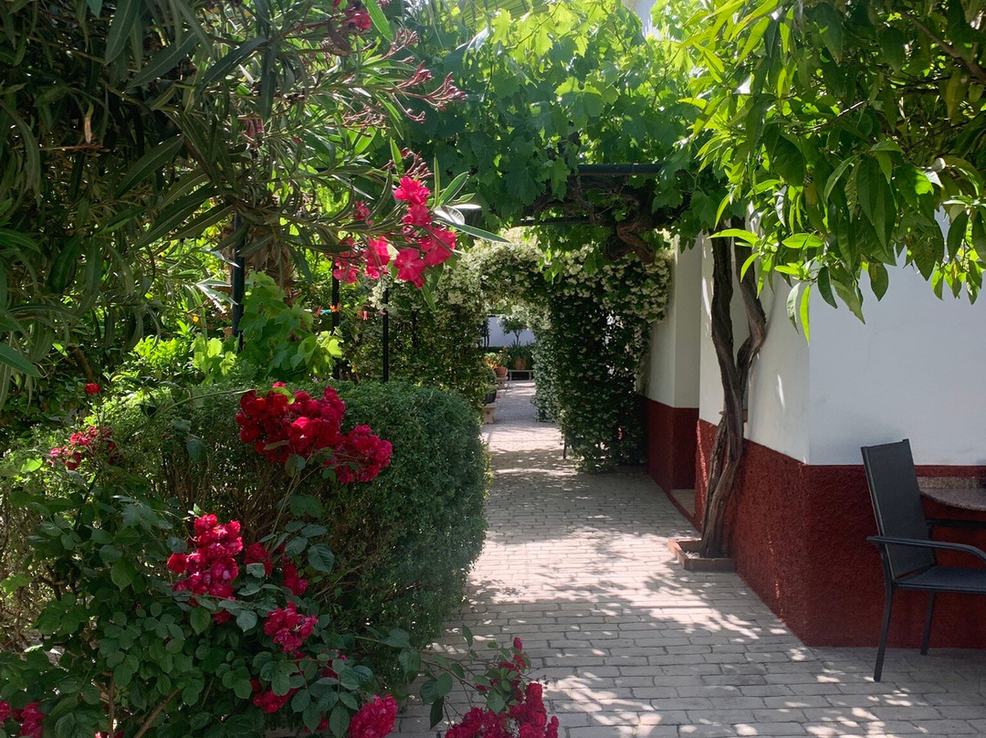 Finca La Cañota主图