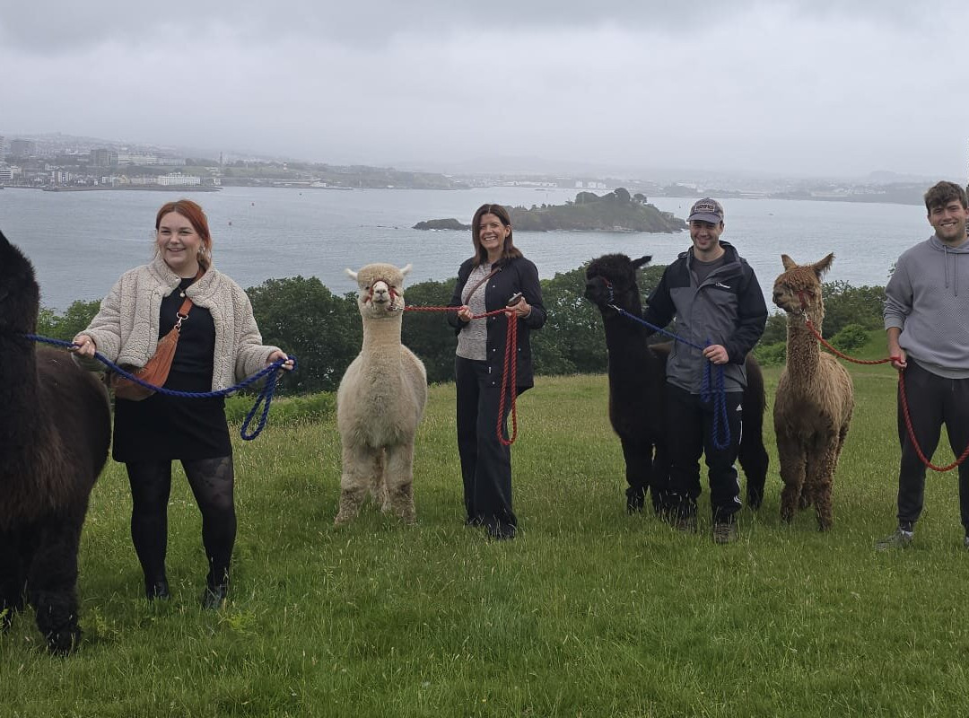 Mount Edgcumbe House and Country Park-托波因特必去景点