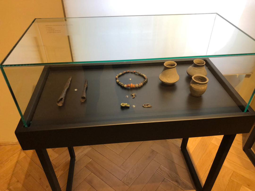 Complexul Muzeal Arad - Archaeology-History Section-阿拉德必去景点