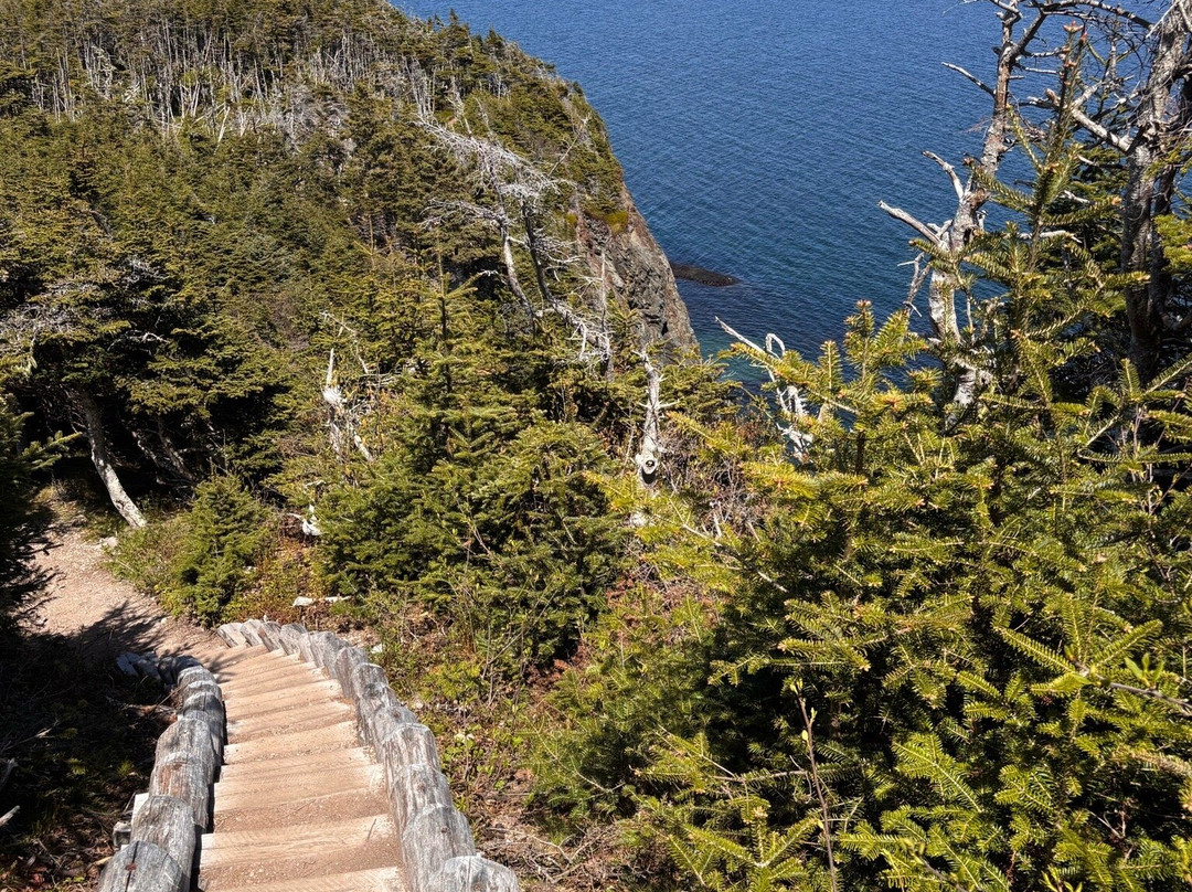 Skerwink Trail-Port Rexton必去景点