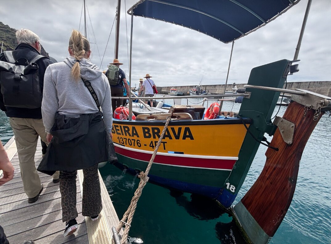Lobosonda - Madeira Whale Watching-卡列塔必去景点