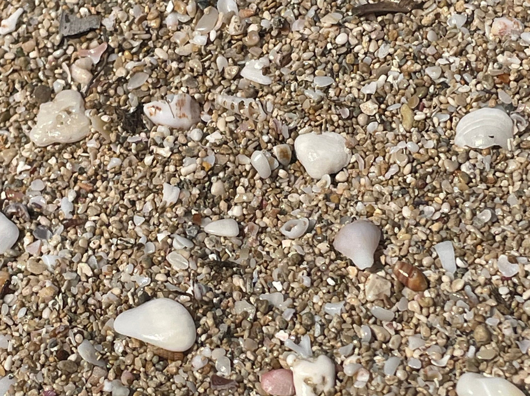 Spiaggia Salina dei Monaci-Manduria必去景点