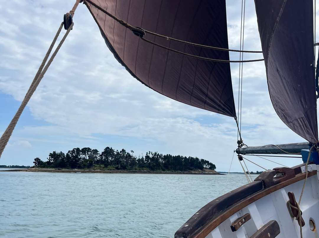 LES VOILES DU GOLFE_ BATEAU ANDRE YVETTE-Baden必去景点