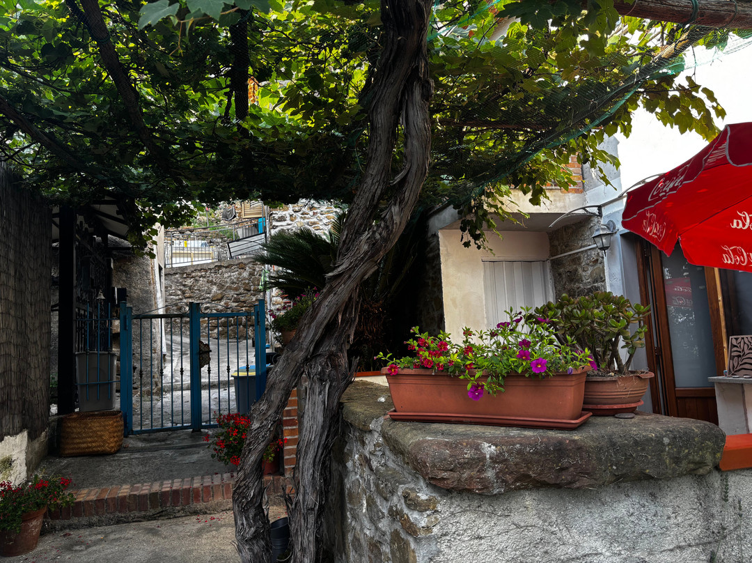 Il Giardino Segreto主图