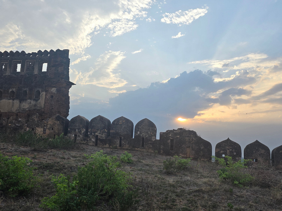 Mardan Singh Fort-Lalitpur必去景点