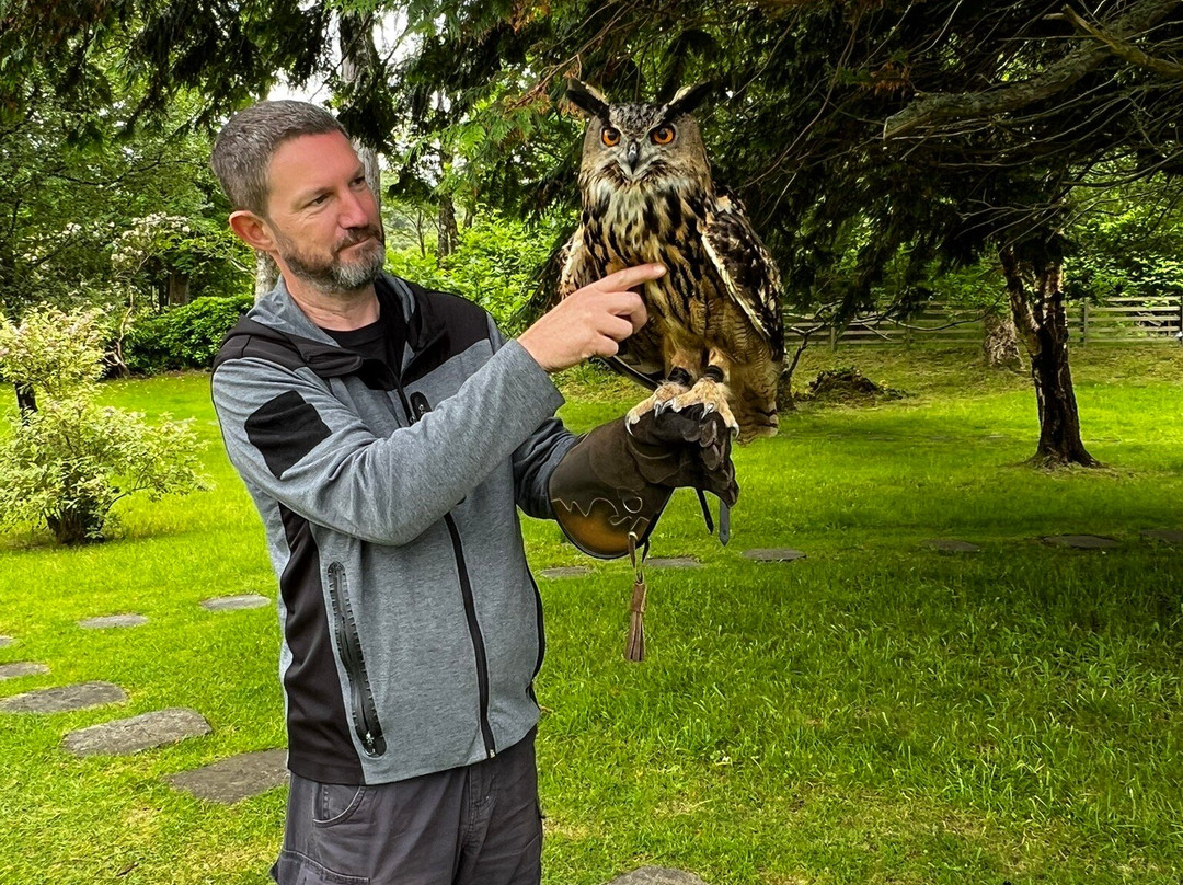 Shieldaig Falconry-盖尔洛赫必去景点