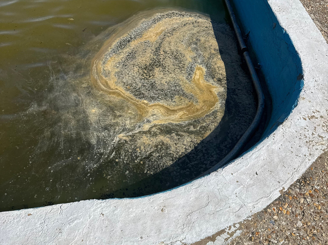 Lymington Sea Water Baths-利明顿必去景点